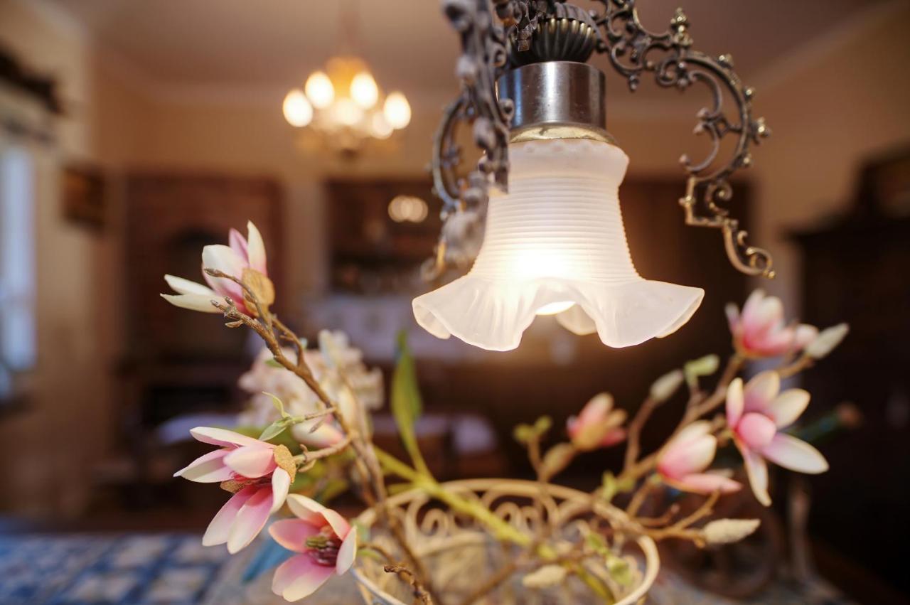 Czapla Stare Sady Bed & Breakfast Mikołajki Eksteriør bilde
